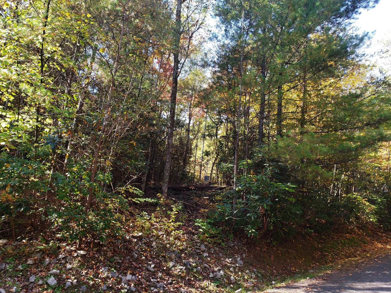 Lot 42 Stonegate Way - Photo 1