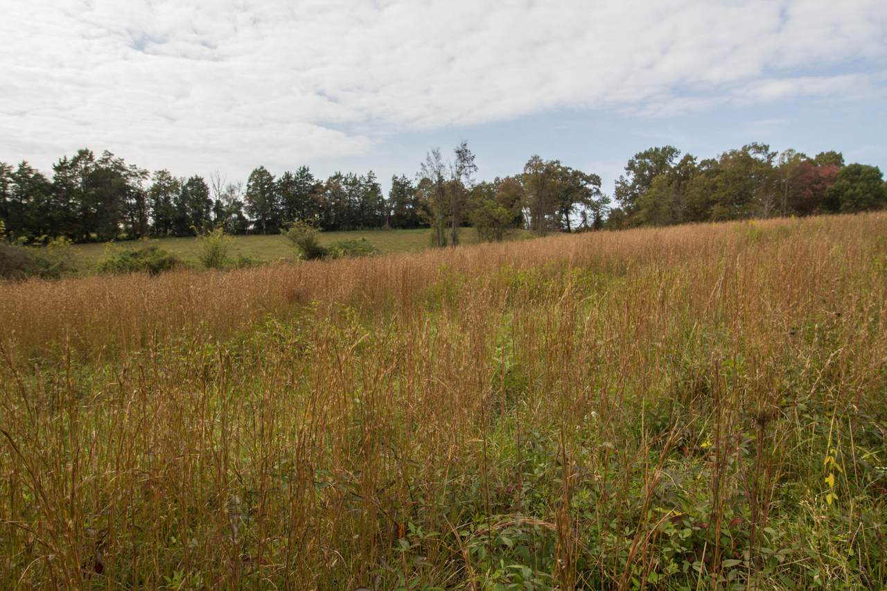 Tract #2 Oak Grove Lane - Photo 1