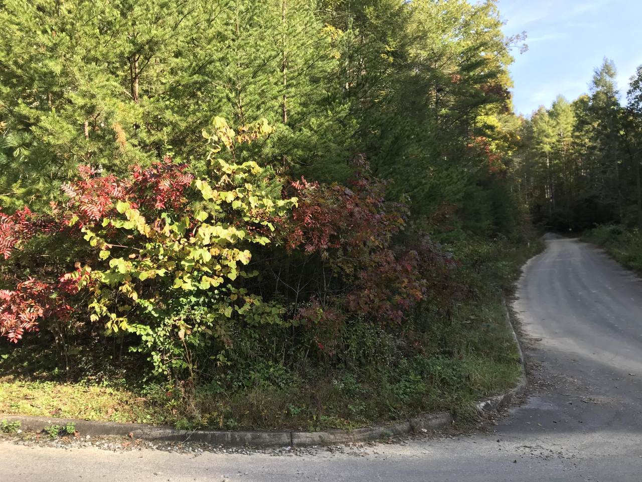 Harmony Lane - Photo 1