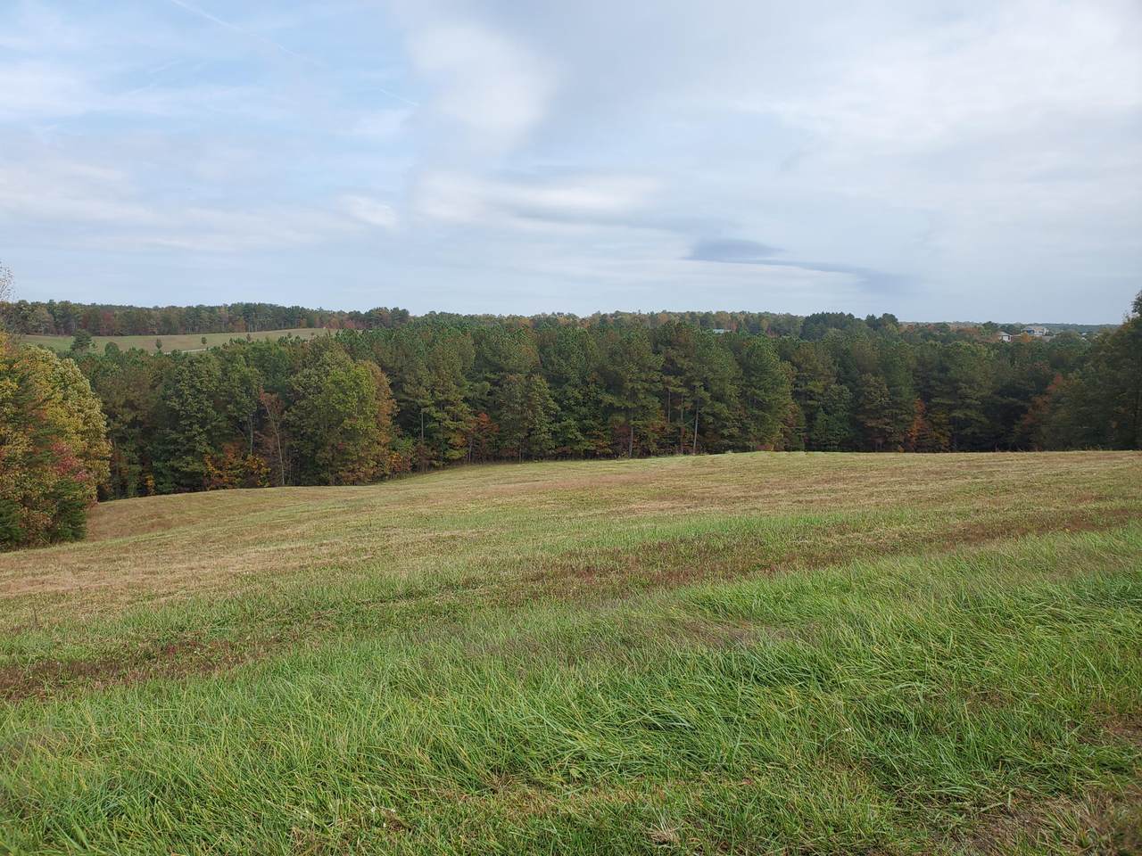Lot 45 Nichol Creek Drive - Photo 1
