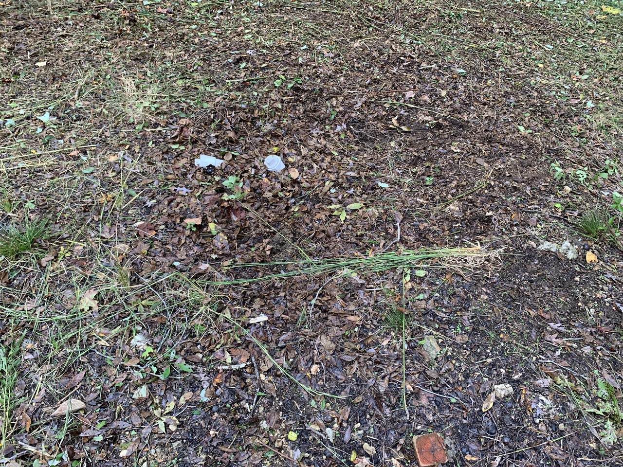 County Road 108 - Photo 1