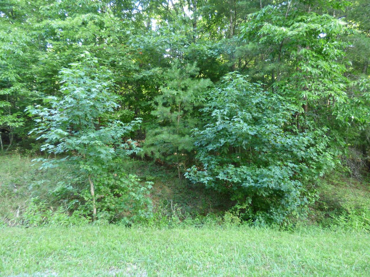 209 Manchester Rd - Photo 1
