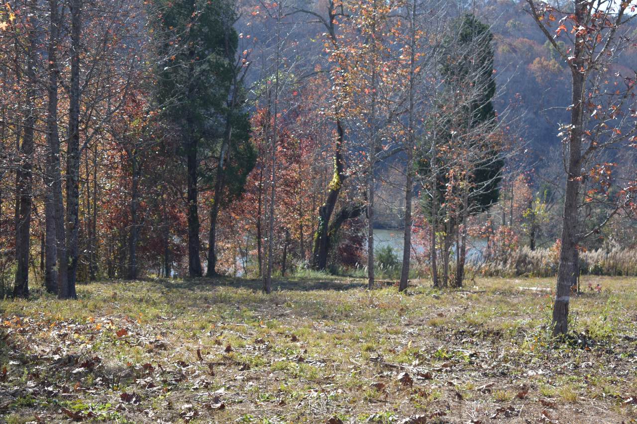 Lot# 55 Blue Heron Bluff - Photo 1