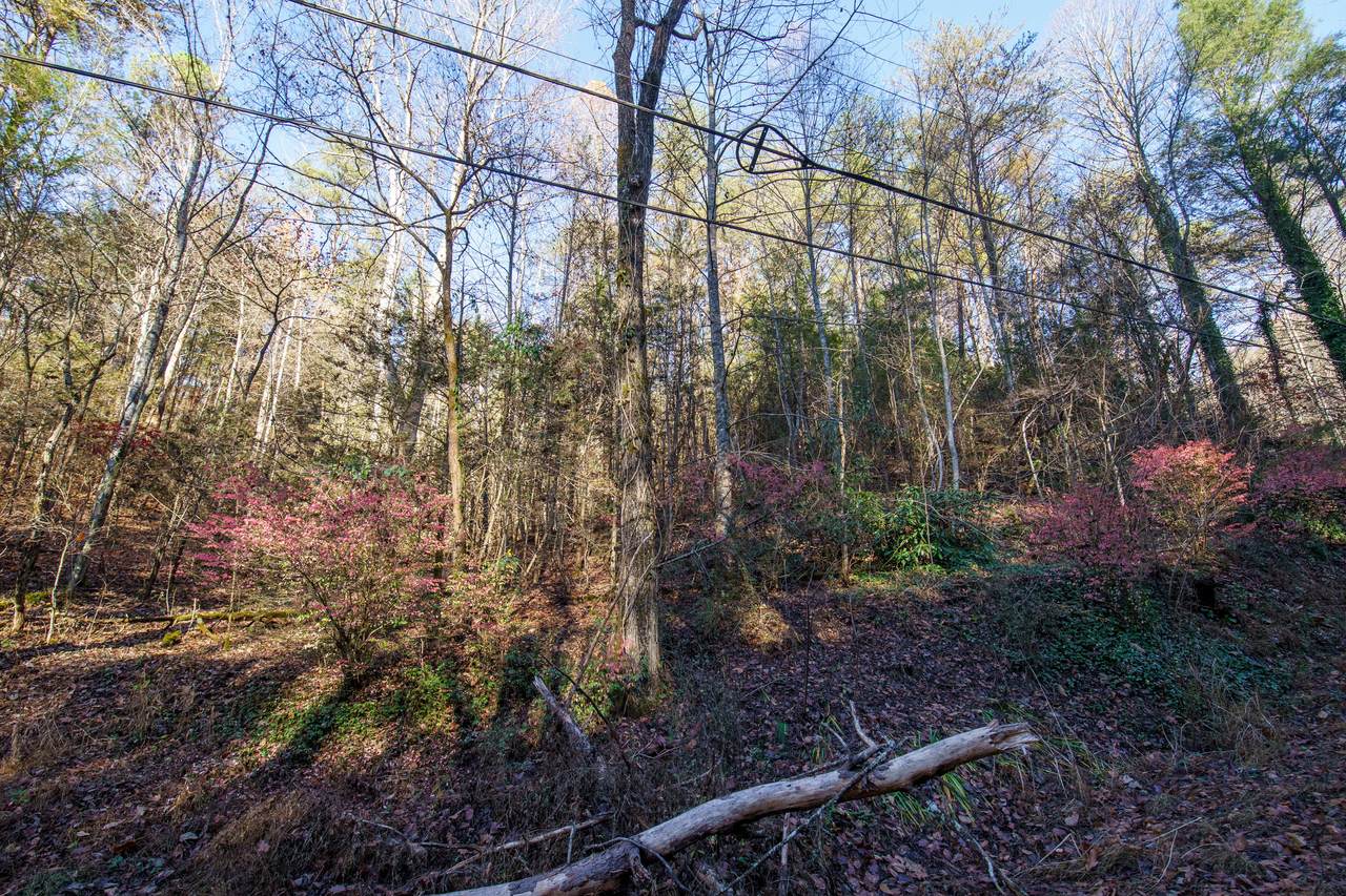 Black Gum Gap Rd - Photo 1