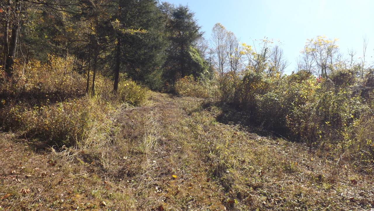 Cox Creek Lane - Photo 1
