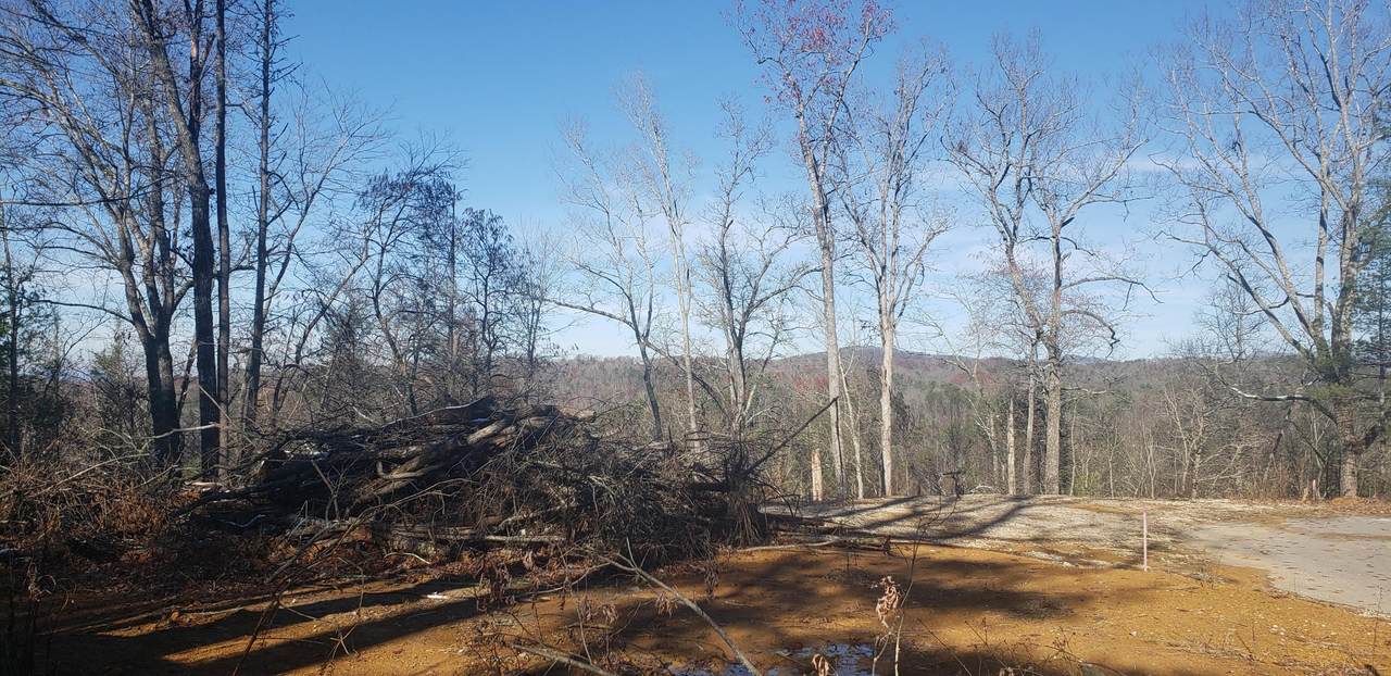Joyner Hill Lane - Photo 1