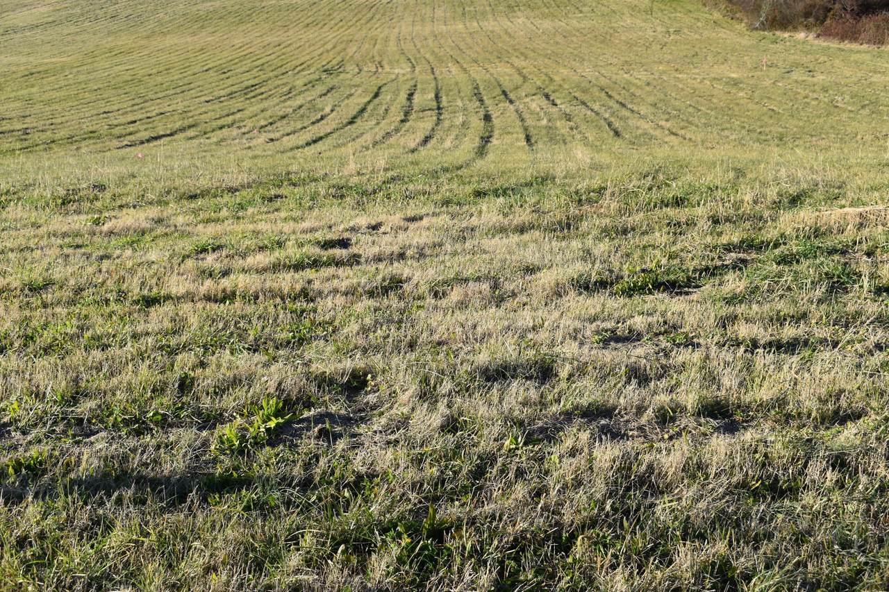 Lot 2 Mccleary Rd - Photo 1