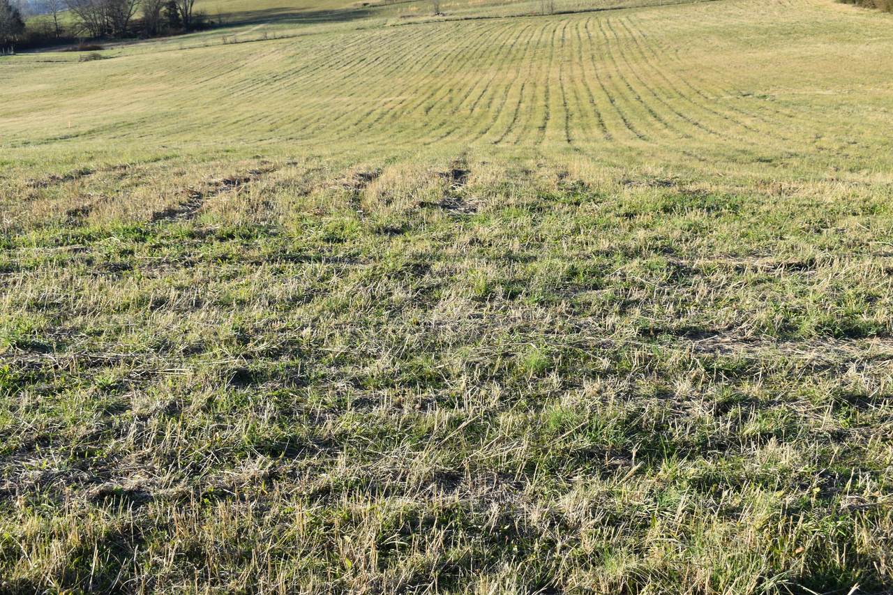 Lot 3 Mccleary Rd - Photo 1