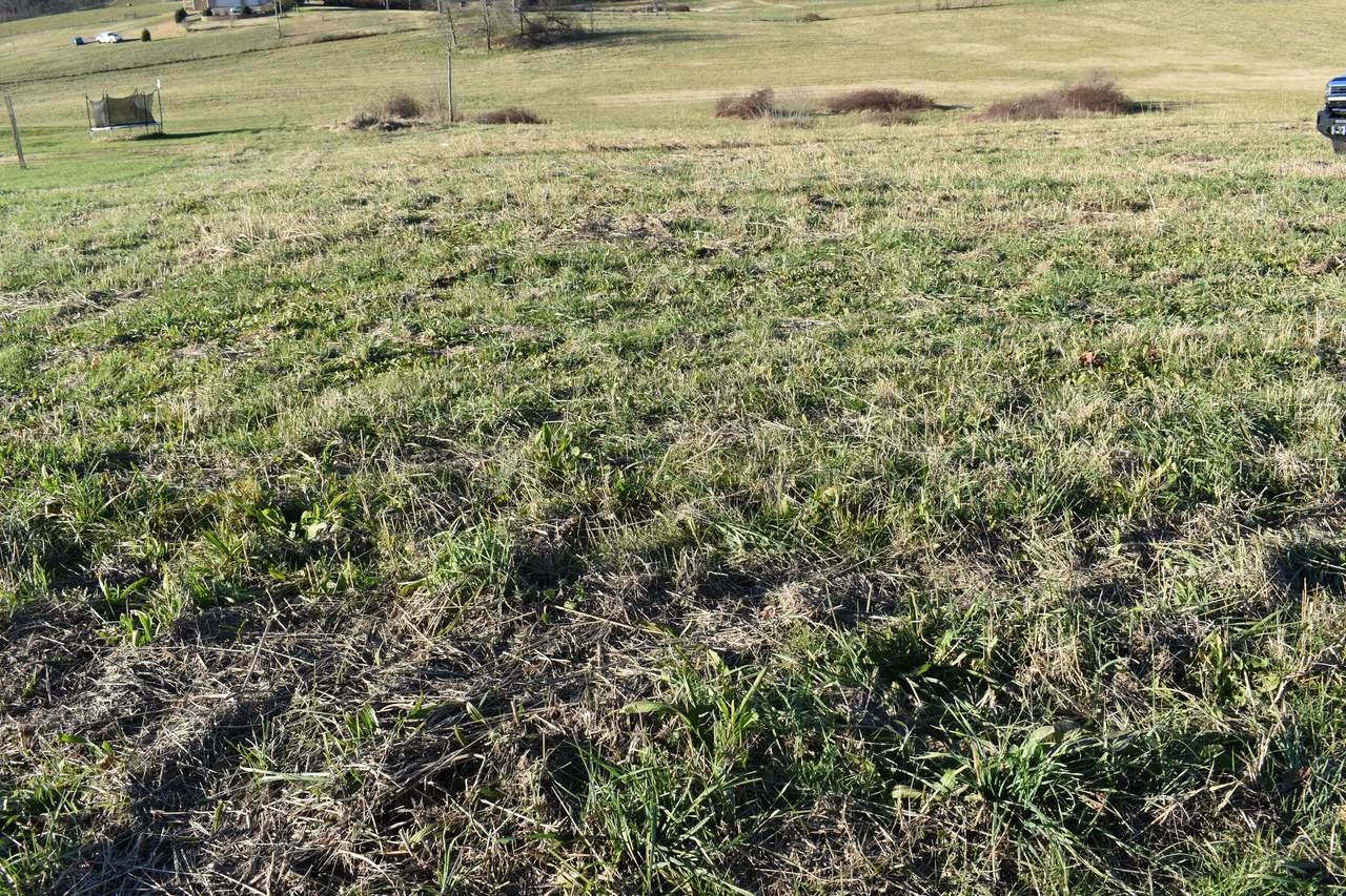 Lot 9 Mccleary Rd - Photo 1