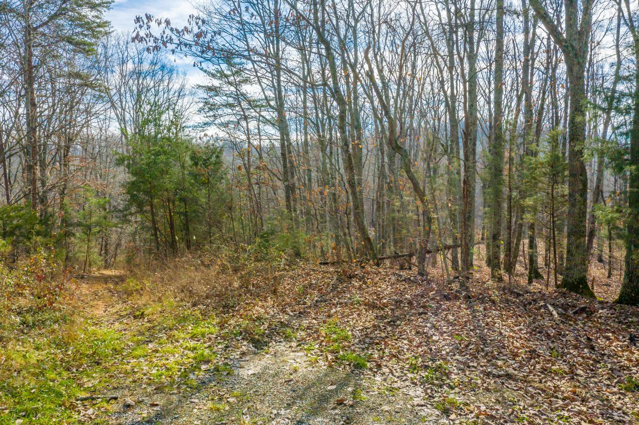 Oak Hill Lane - Photo 1