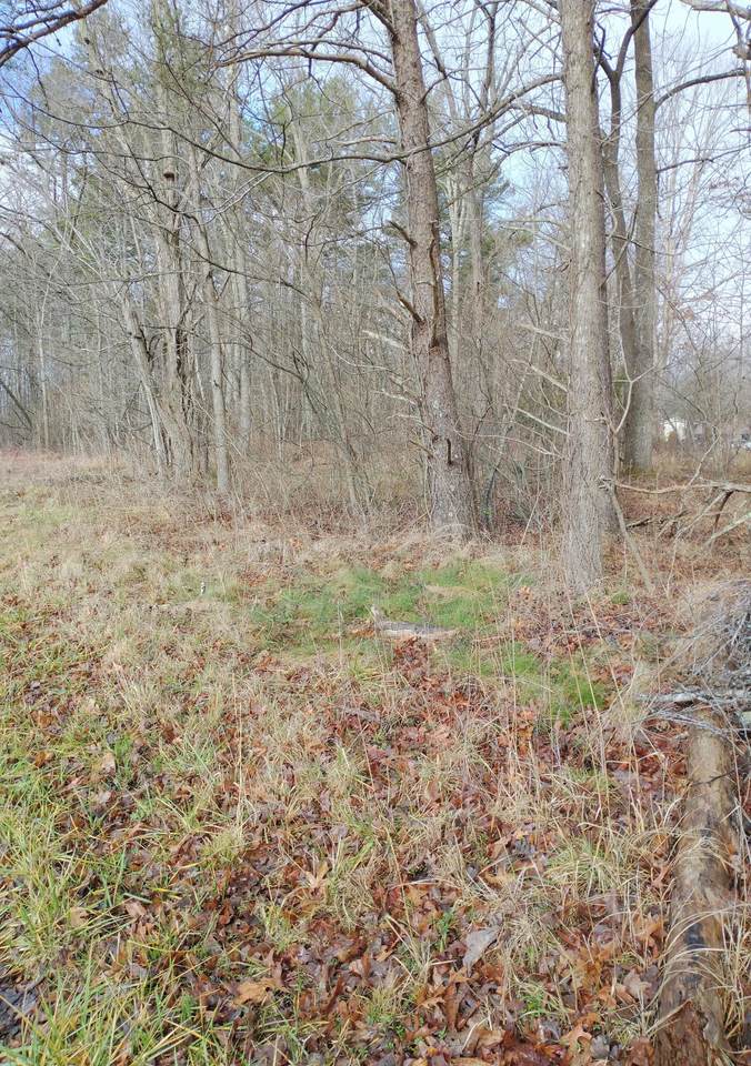 Concord Rd - Photo 1