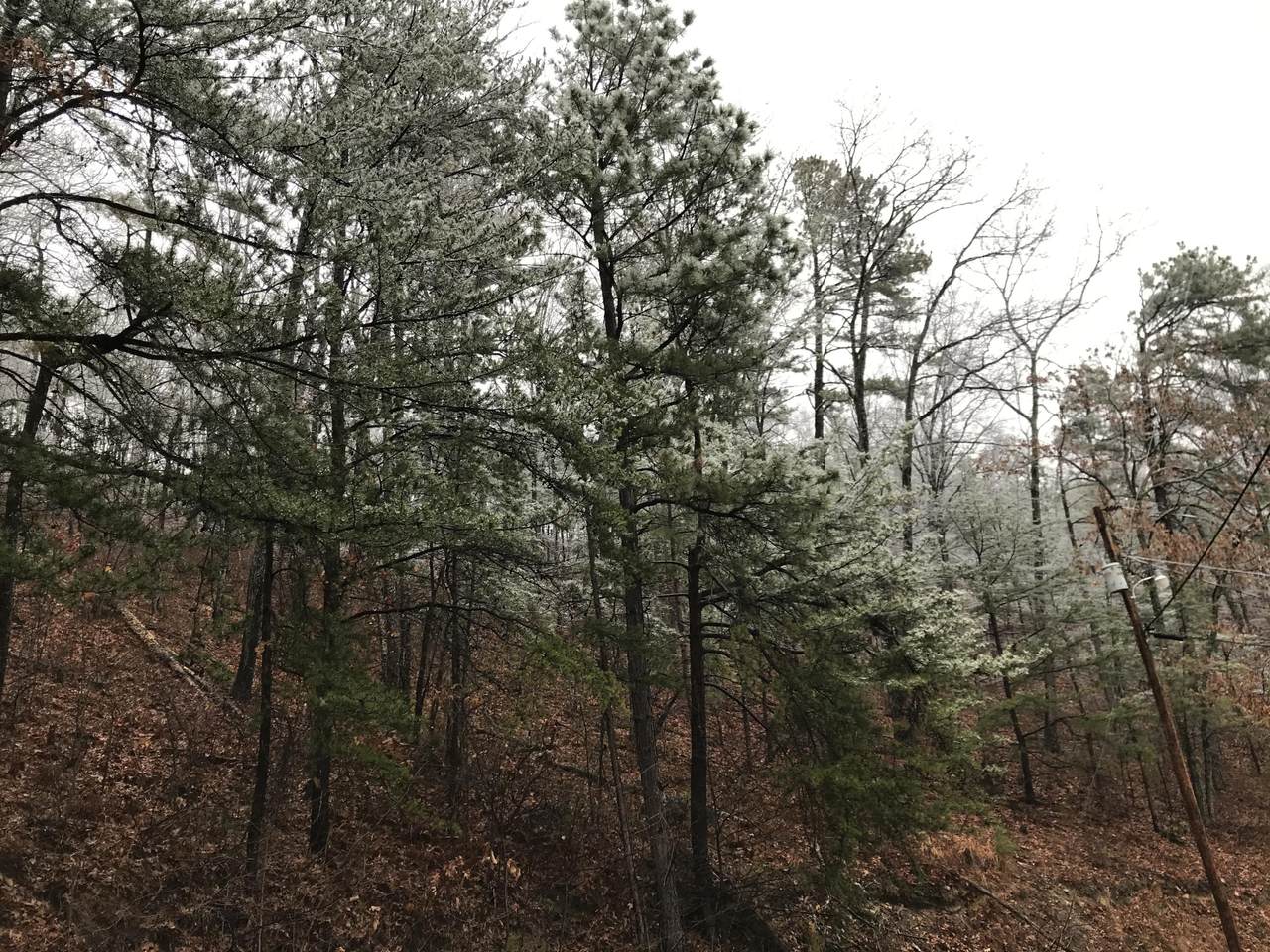 Overholt Trail - Photo 1