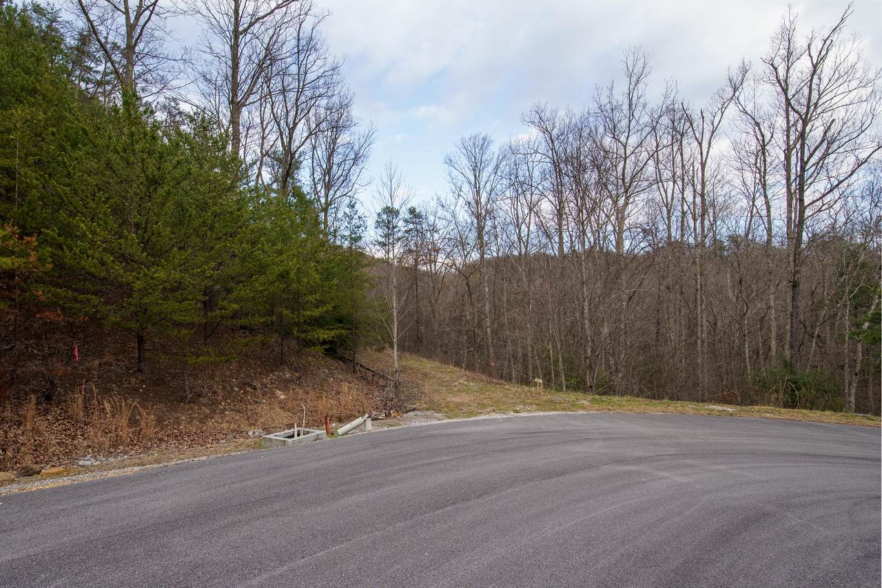 Jones Creek Lane - Photo 1
