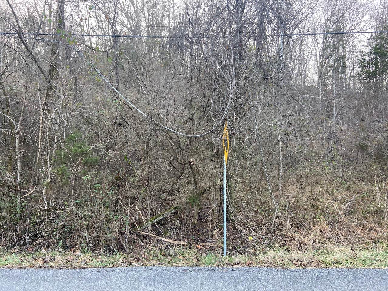 Burnett Creek Rd - Photo 1