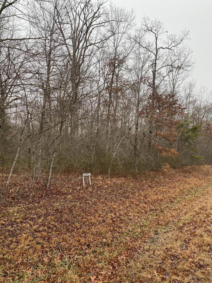 Pond Rd - Photo 1