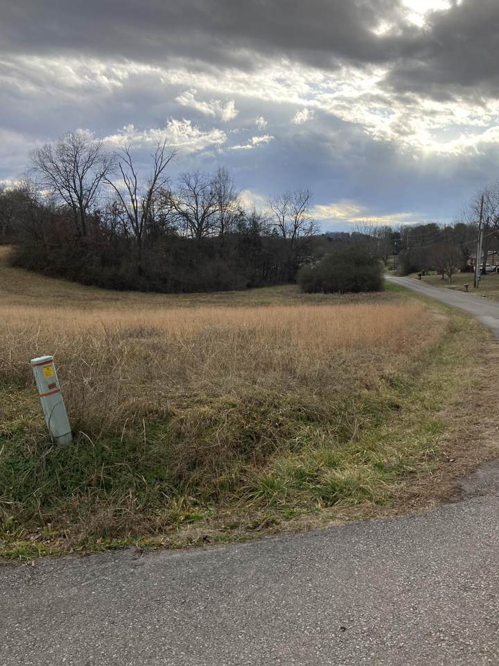 Old Sweetwater Rd - Photo 1