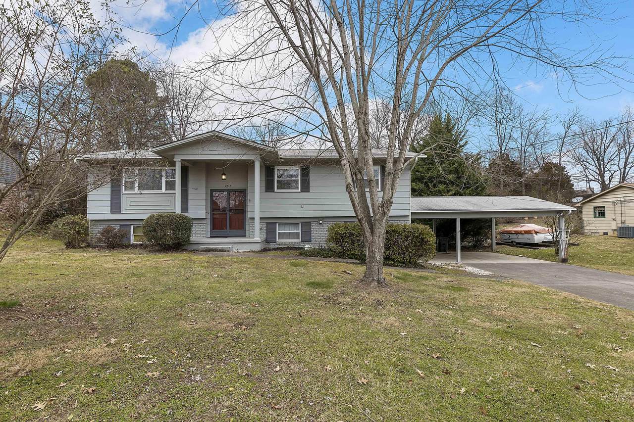 7513 Luscombe Drive - Photo 1