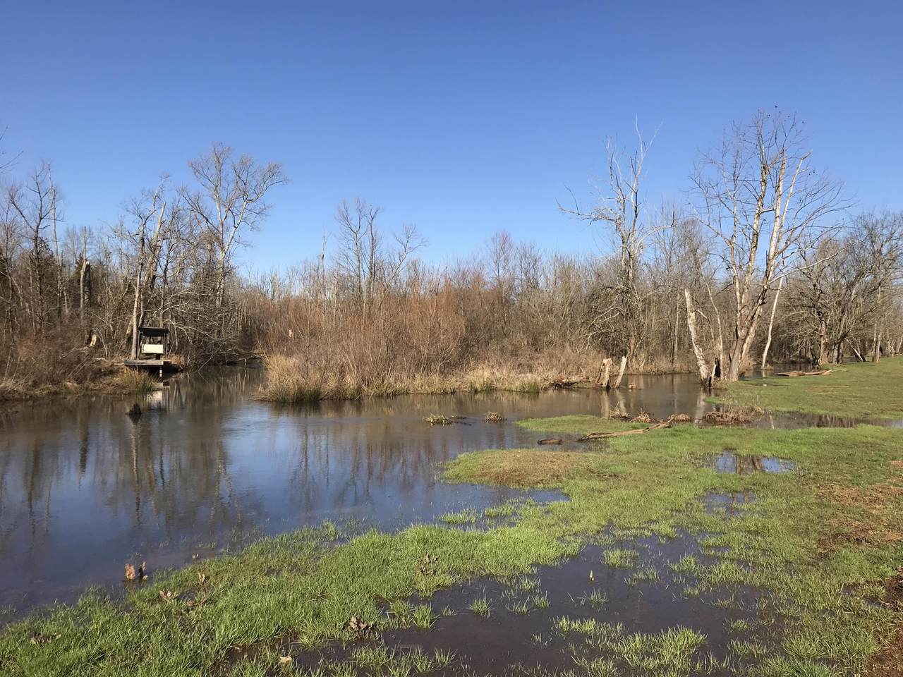 1071 Lakeview Road Rd - Photo 1
