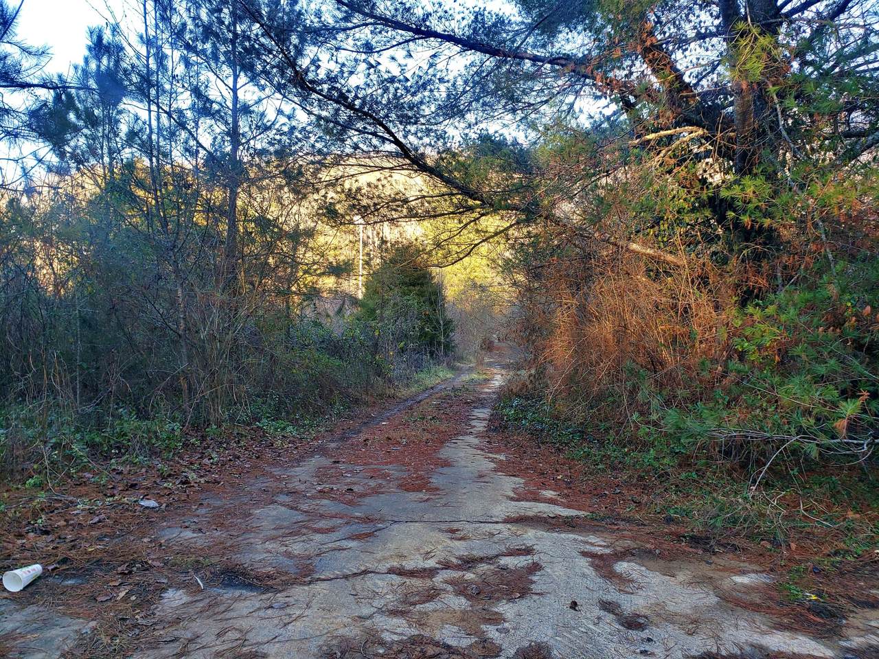 7906 Old Highway 30 - Photo 1