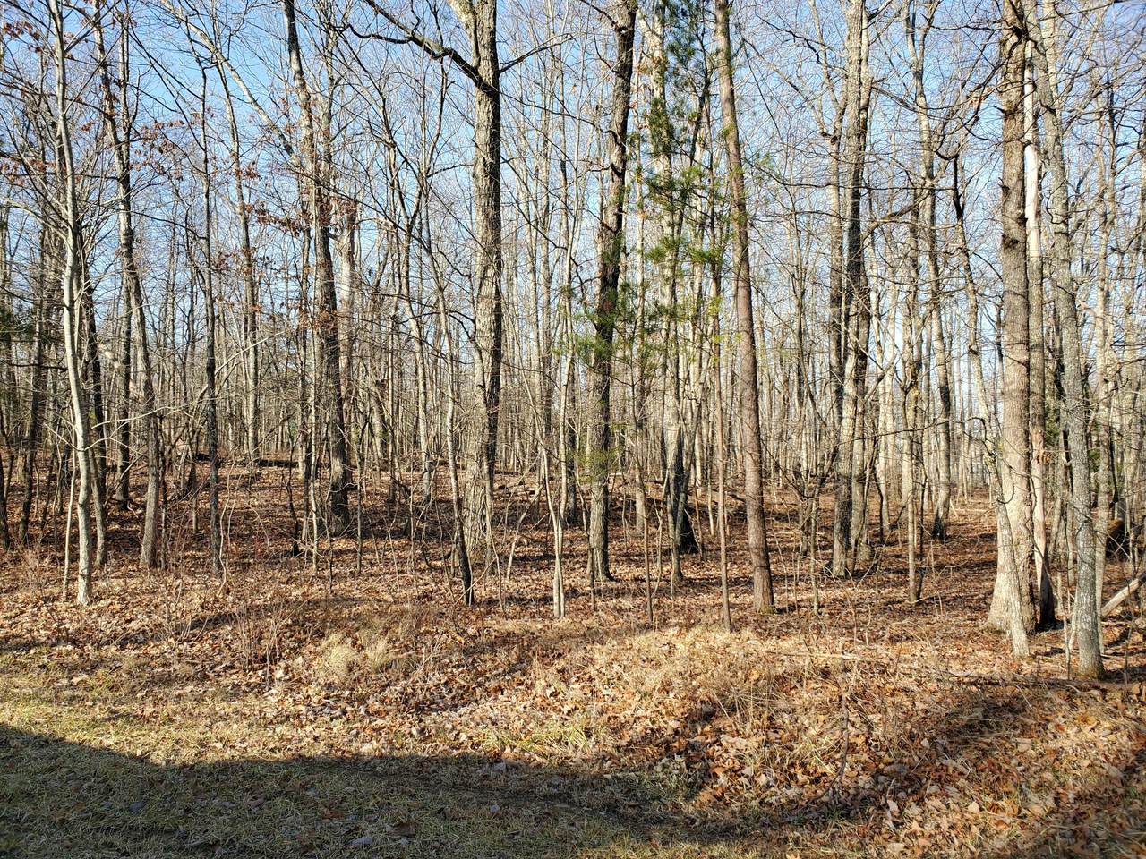 232 Lancaster Drive - Photo 1