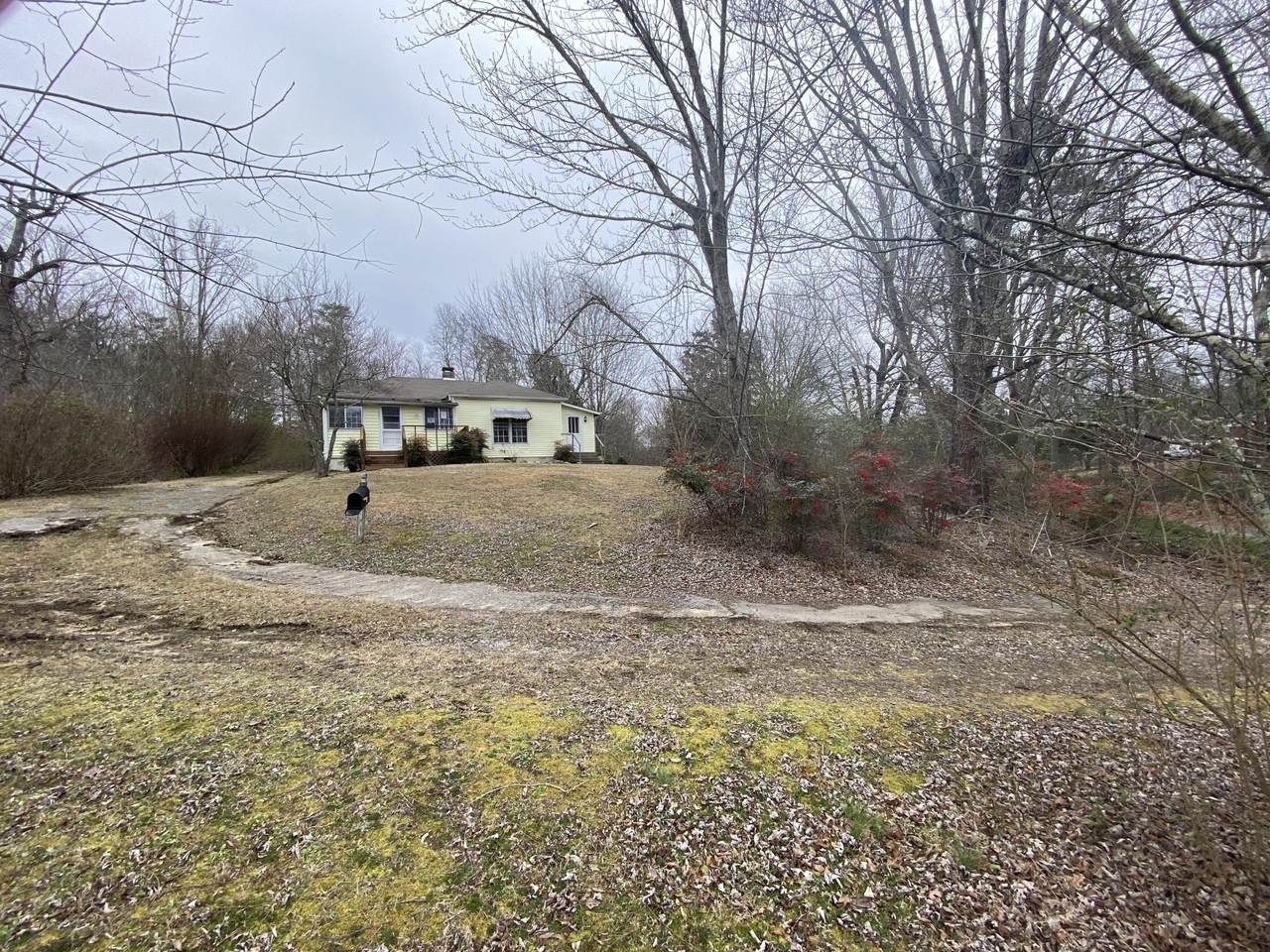 325 County Road 525 - Photo 1