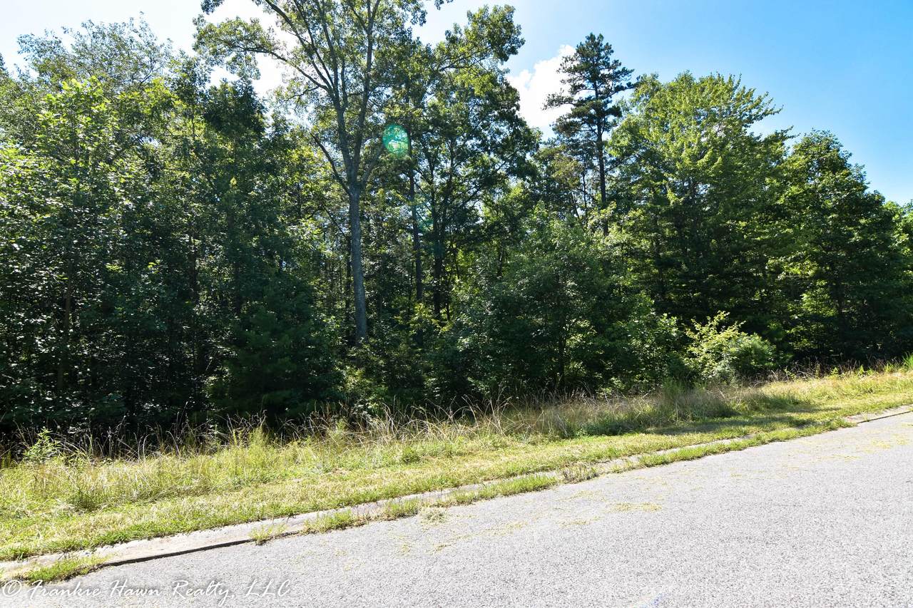 Lt. 5 Eagle Ridge Rd - Photo 1