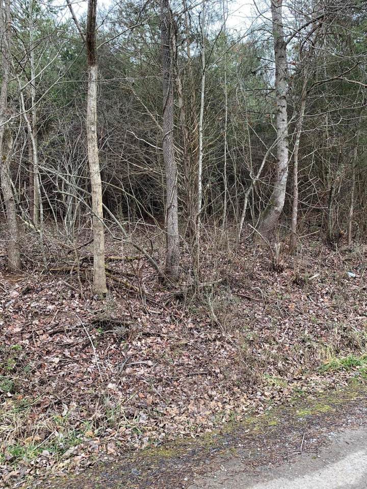 lot 9 Brantley Acres Rd - Photo 1