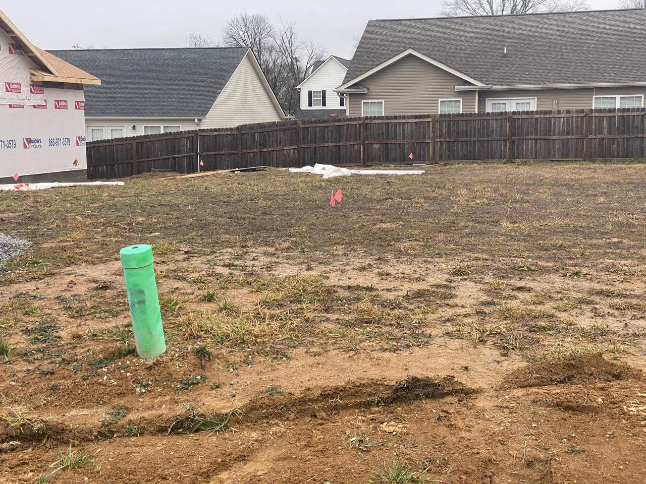 3725 Tulip Row Way - Photo 1