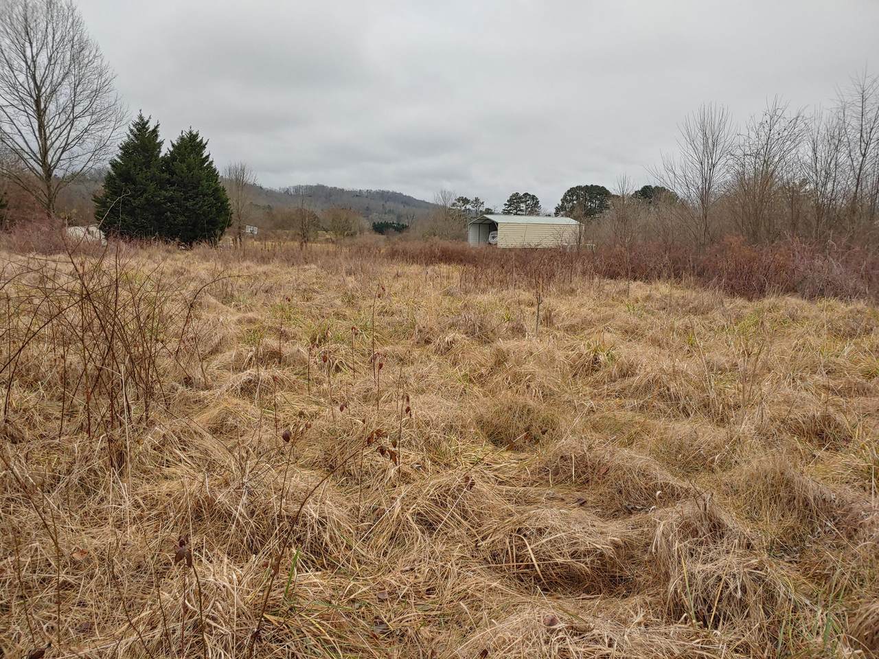 2376 River Rd Rd - Photo 1