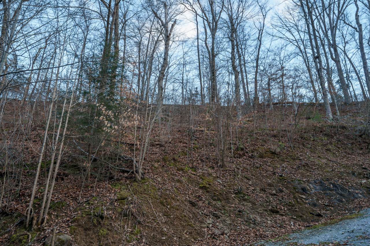 Lot Pt19 Dunn Hollow Rd - Photo 1