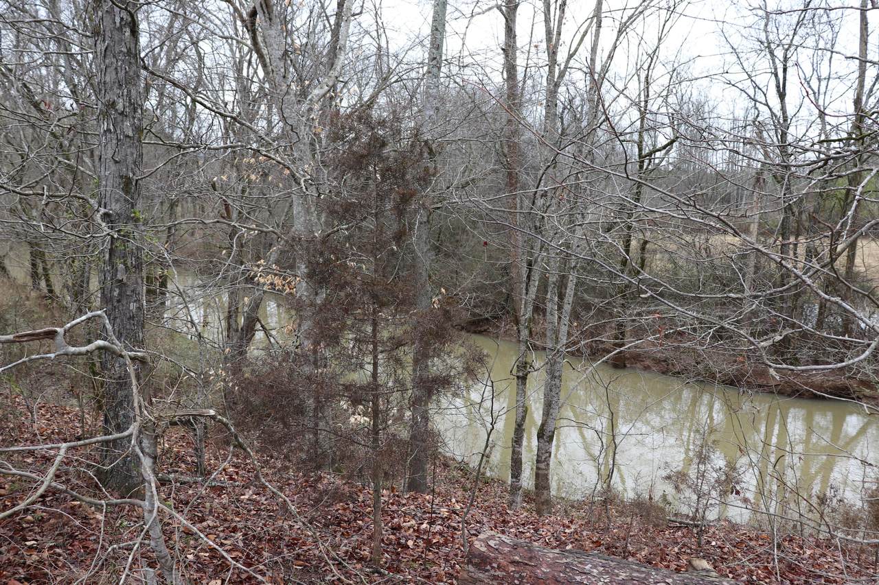 000 County Road 635 - Photo 1