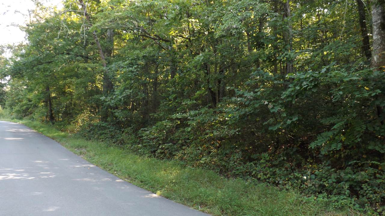 Blue Springs Rd - Photo 1