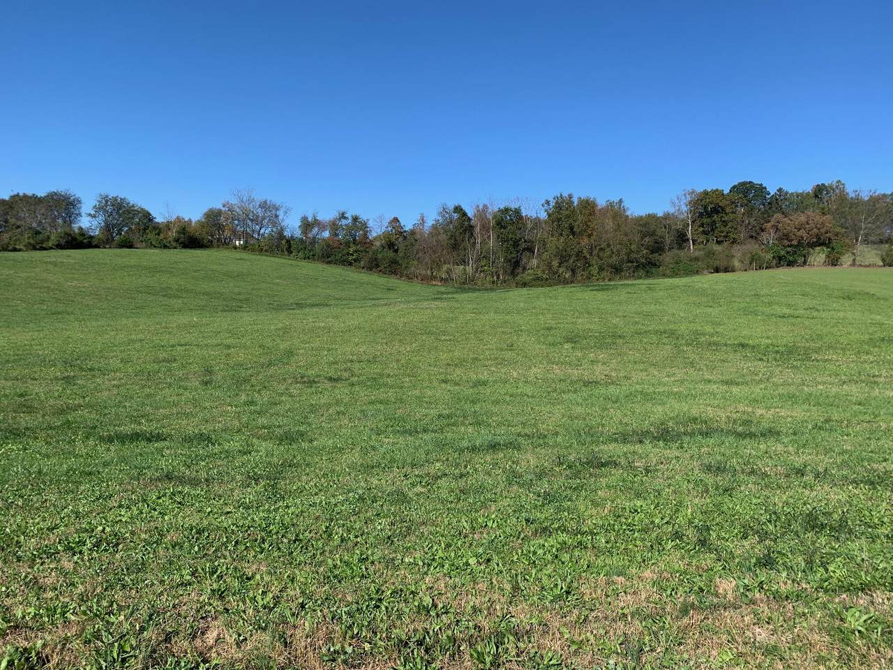 0 Holston Shores Drive - Photo 1
