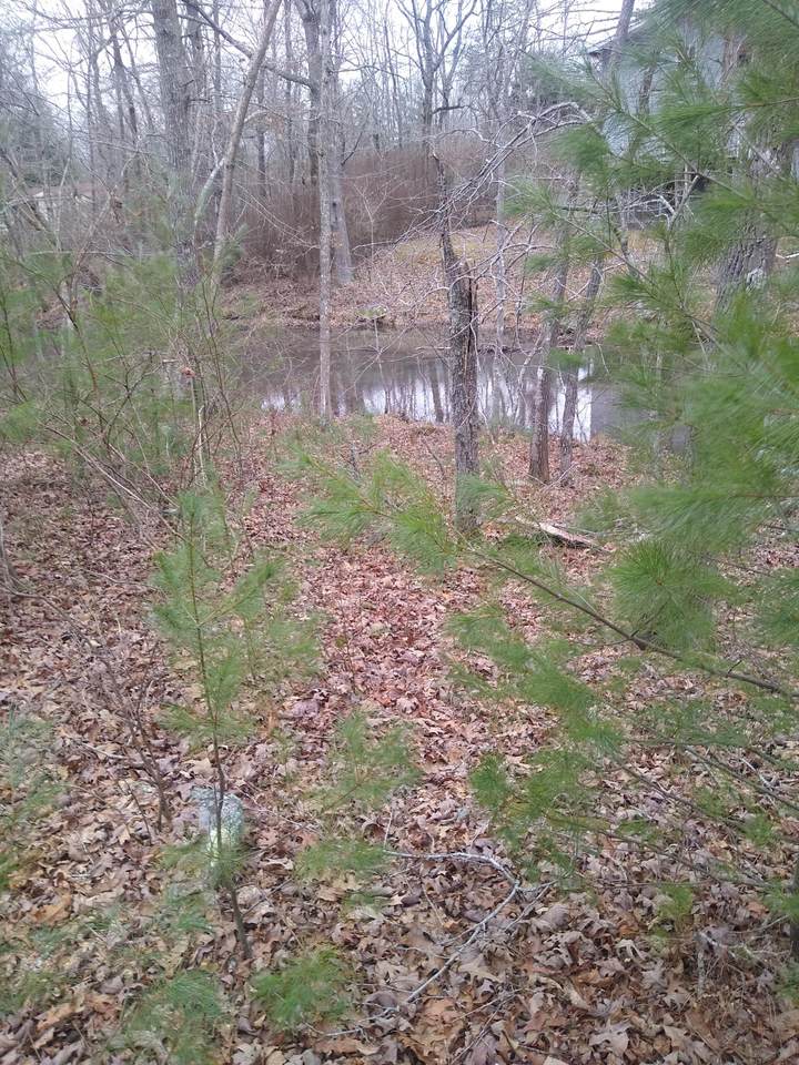 1554 Cherokee Rd - Photo 1
