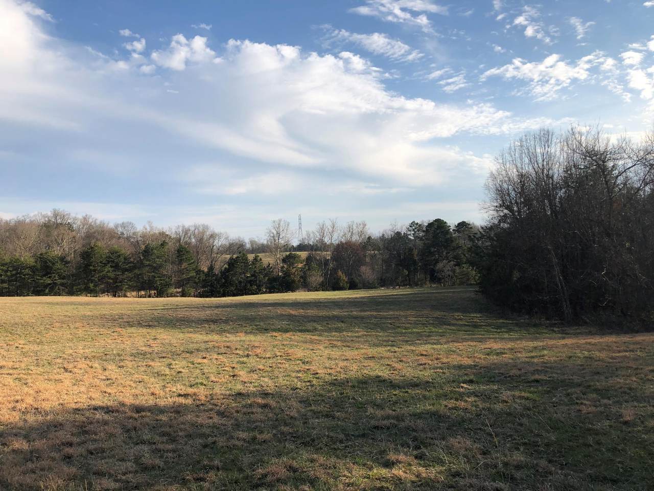 Lot 1 Bays Mountain Rd - Photo 1