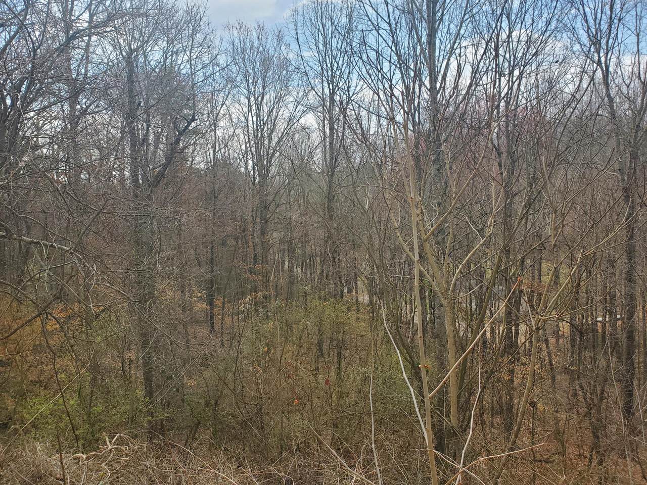 8221 Cricket Rd - Photo 1
