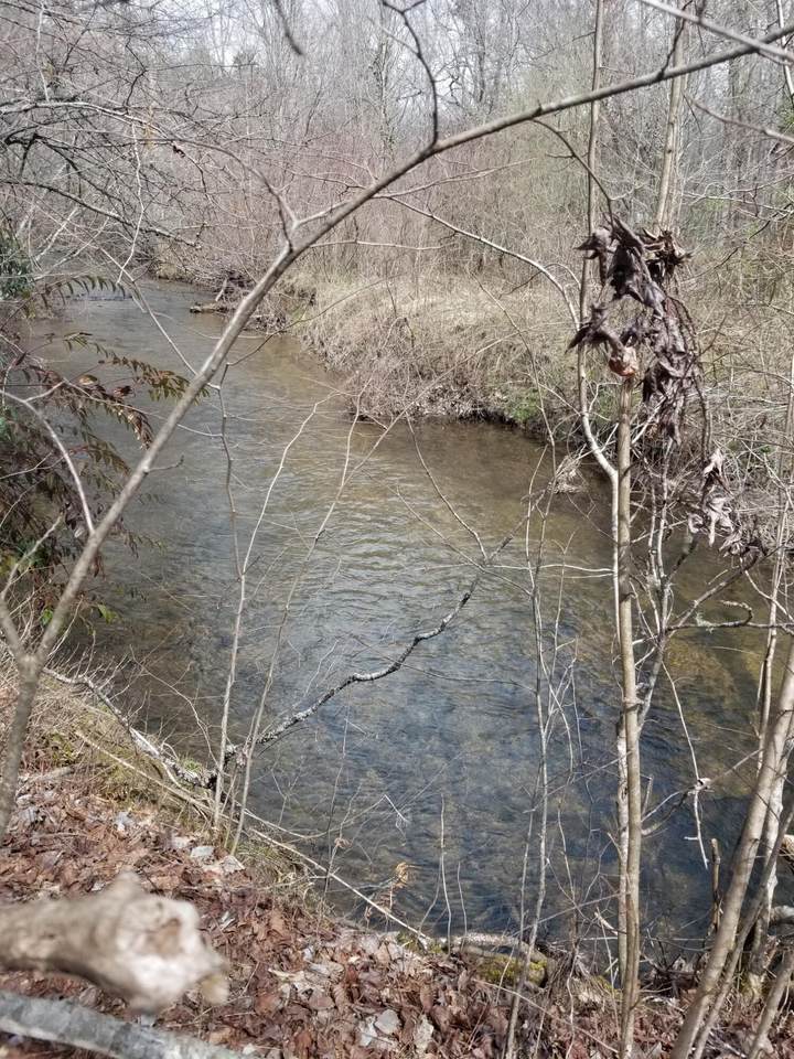 213 Gold Miners Rd - Photo 1