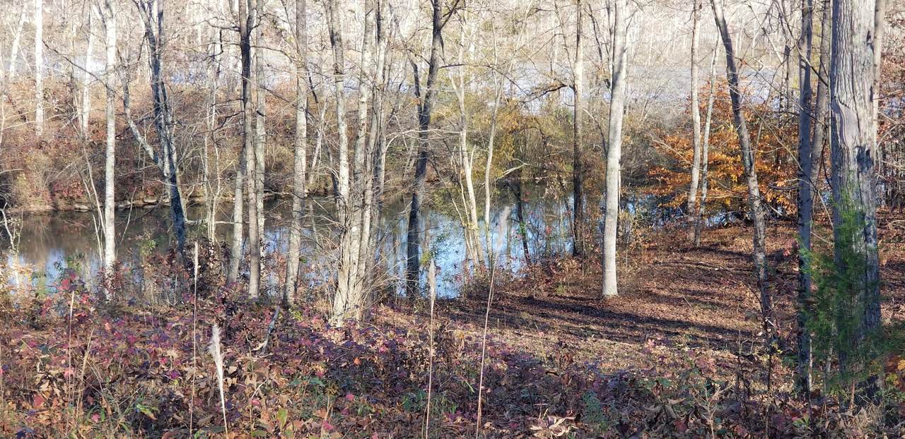 Lot 13 Blue Heron Drive - Photo 1