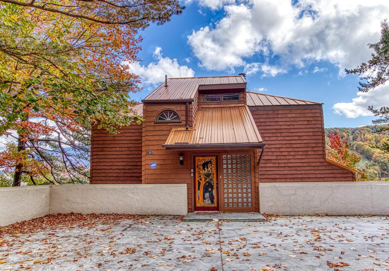 1307 Ski View Drive - Photo 1