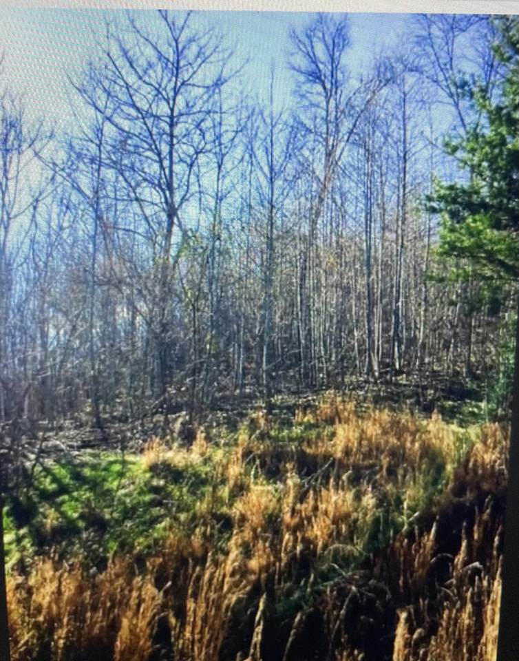 Chimney Rock Rd - Photo 1