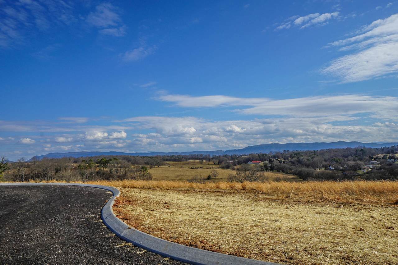 Lot 21 Mountain Vista Lane - Photo 1
