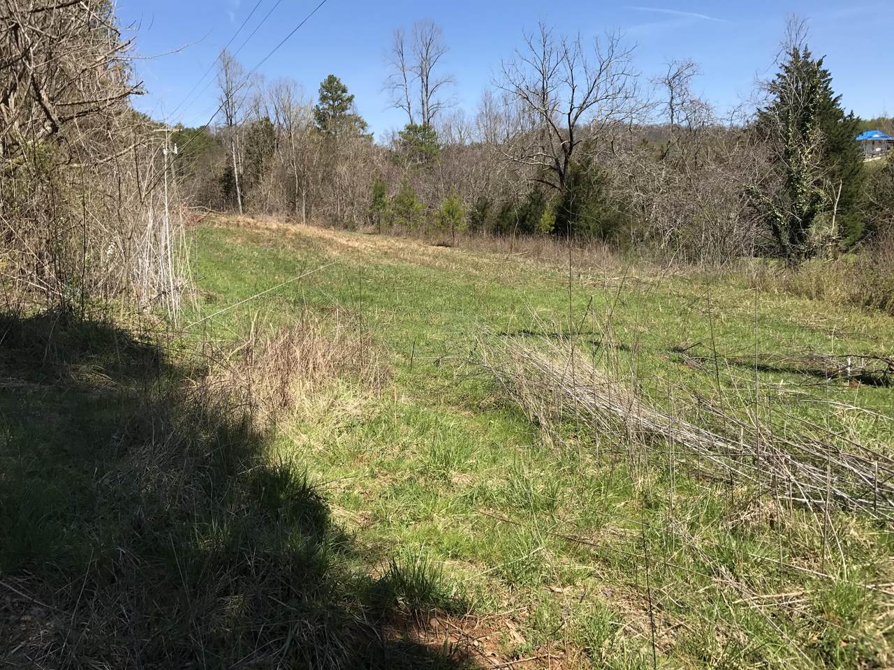 4048 Allegheny Loop Rd - Photo 1
