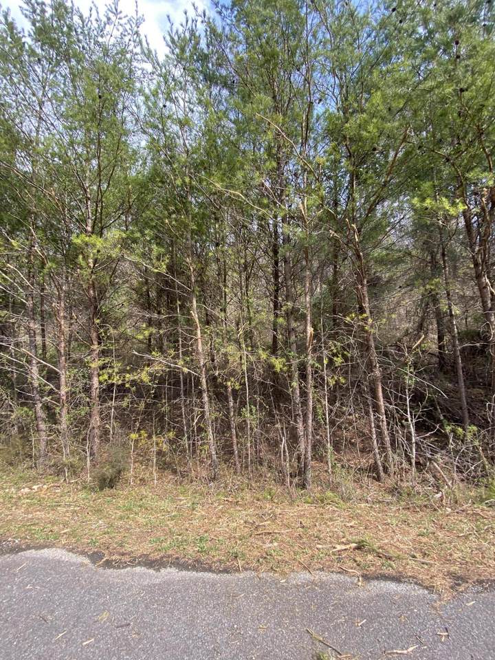 LOT 9 Perilla Drive - Photo 1