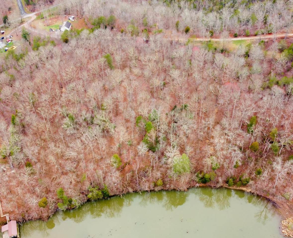 Tract/Lot 2 - Scenic River Rd - Photo 1