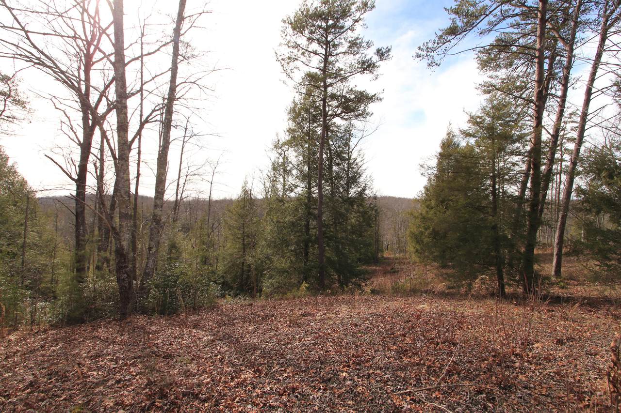 Lot 70 Big Leaf Cove - Photo 1