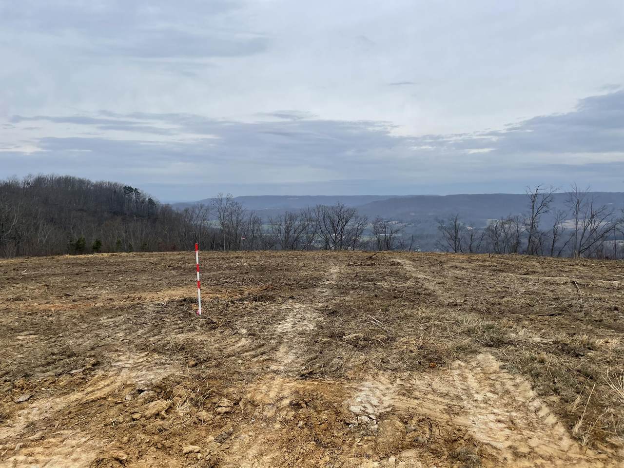 Peace Pointe @ Vista View - Photo 1