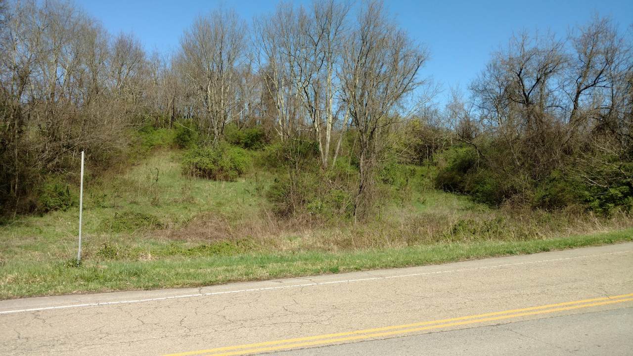 Sulpher Springs Rd - Photo 1