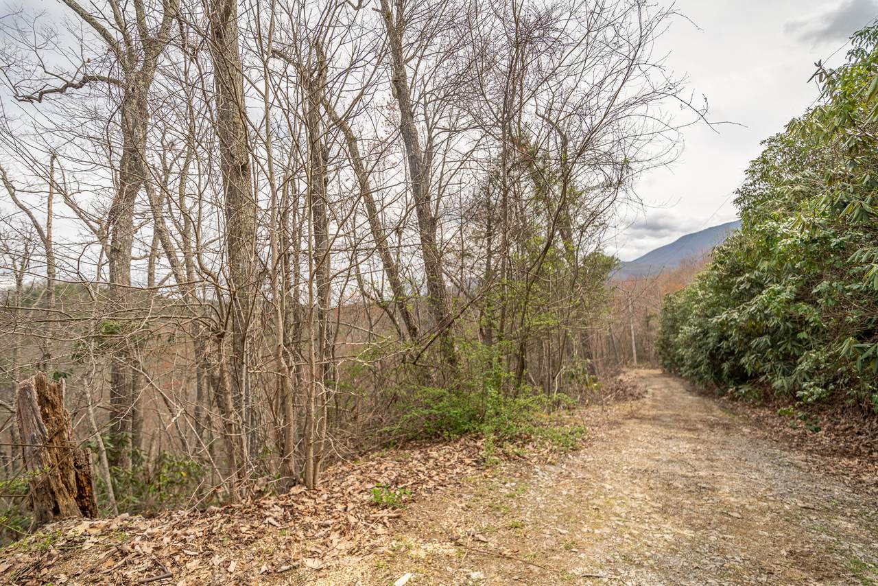 Old Smoky High Top Rd - Photo 1