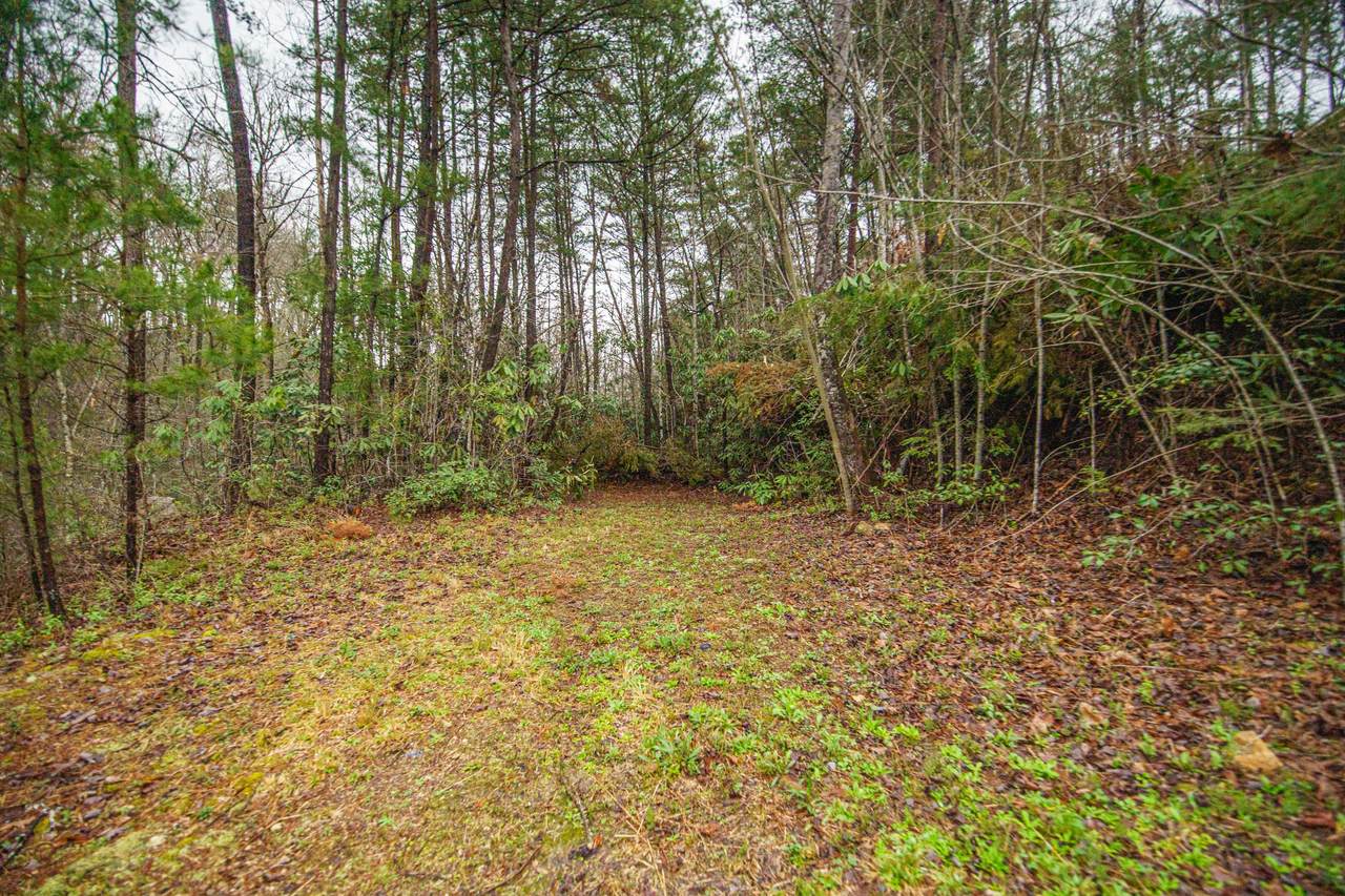 Lot 65 Birch Drive - Photo 1