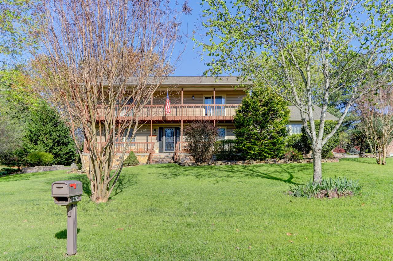 10732 Farragut Hills Blvd - Photo 1